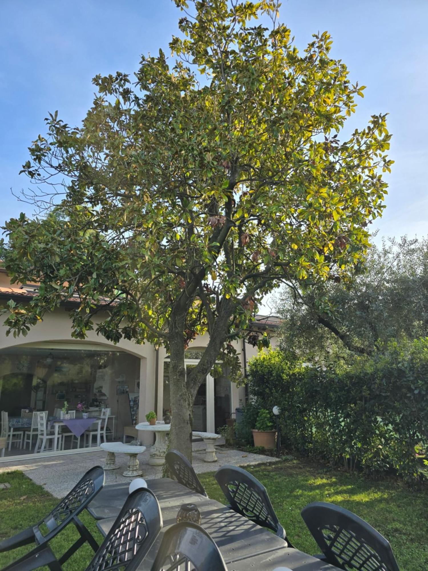 סן פליס דל בנאקו Villa Indipendente A Pochi Passi Dal Lago מראה חיצוני תמונה