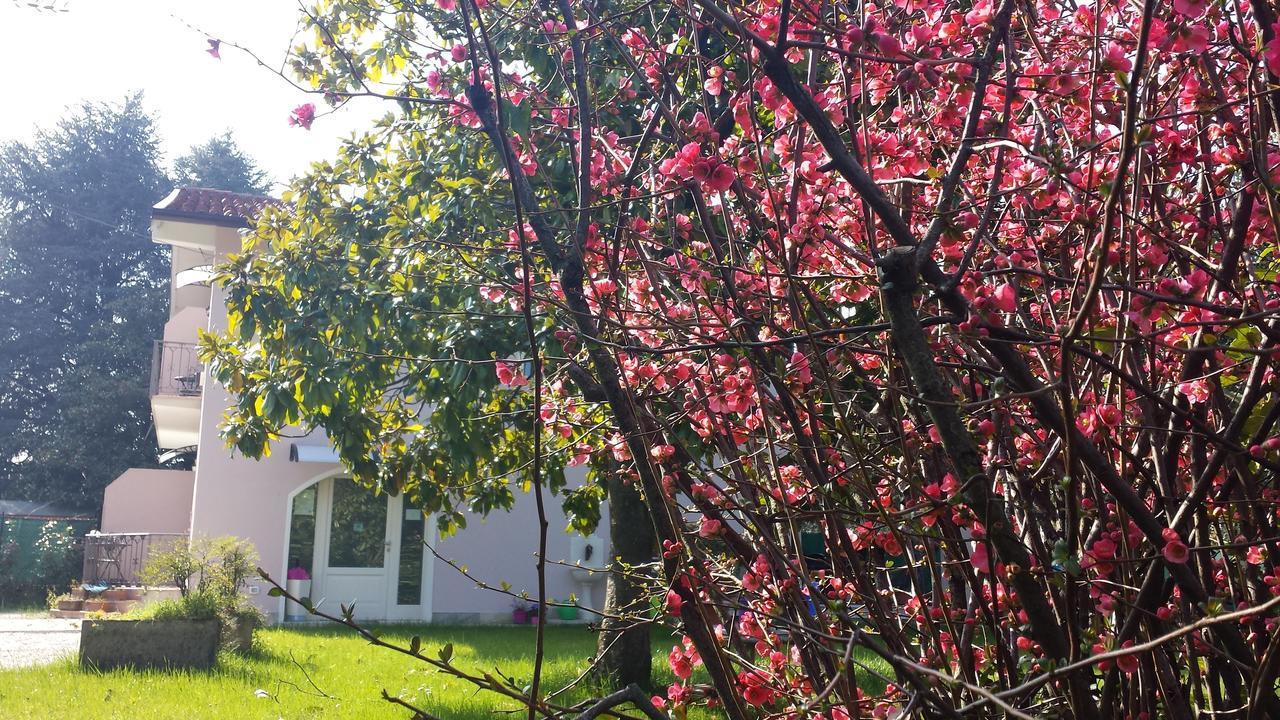 סן פליס דל בנאקו Villa Indipendente A Pochi Passi Dal Lago מראה חיצוני תמונה